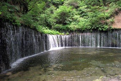安徽萧县:三产协同强根基 蓄势赋能促发展